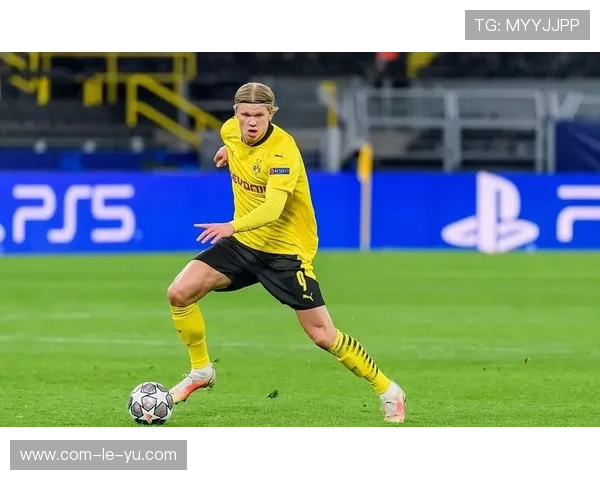 阿尔梅达对阵奥莱克西祖克，中量级新星迎来考验